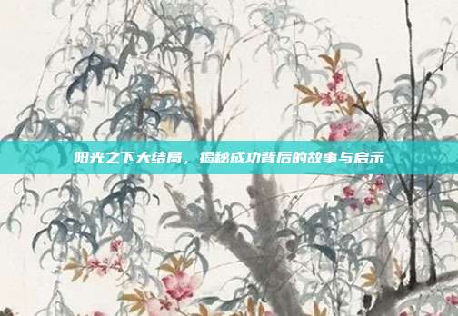 阳光之下大结局，揭秘成功背后的故事与启示